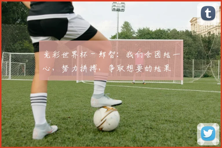 竞彩世界杯 - 郑智：我们会团结一心，努力拼搏，争取想要的结果